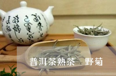 普洱茶熟茶 野菊/2023031744938